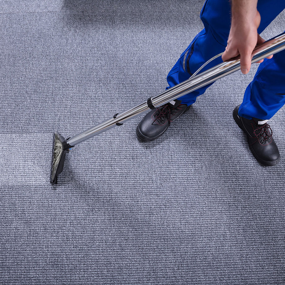 Carpet Cleaning in Home